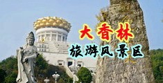 黄色网站,裸体操逼中国浙江-绍兴大香林旅游风景区